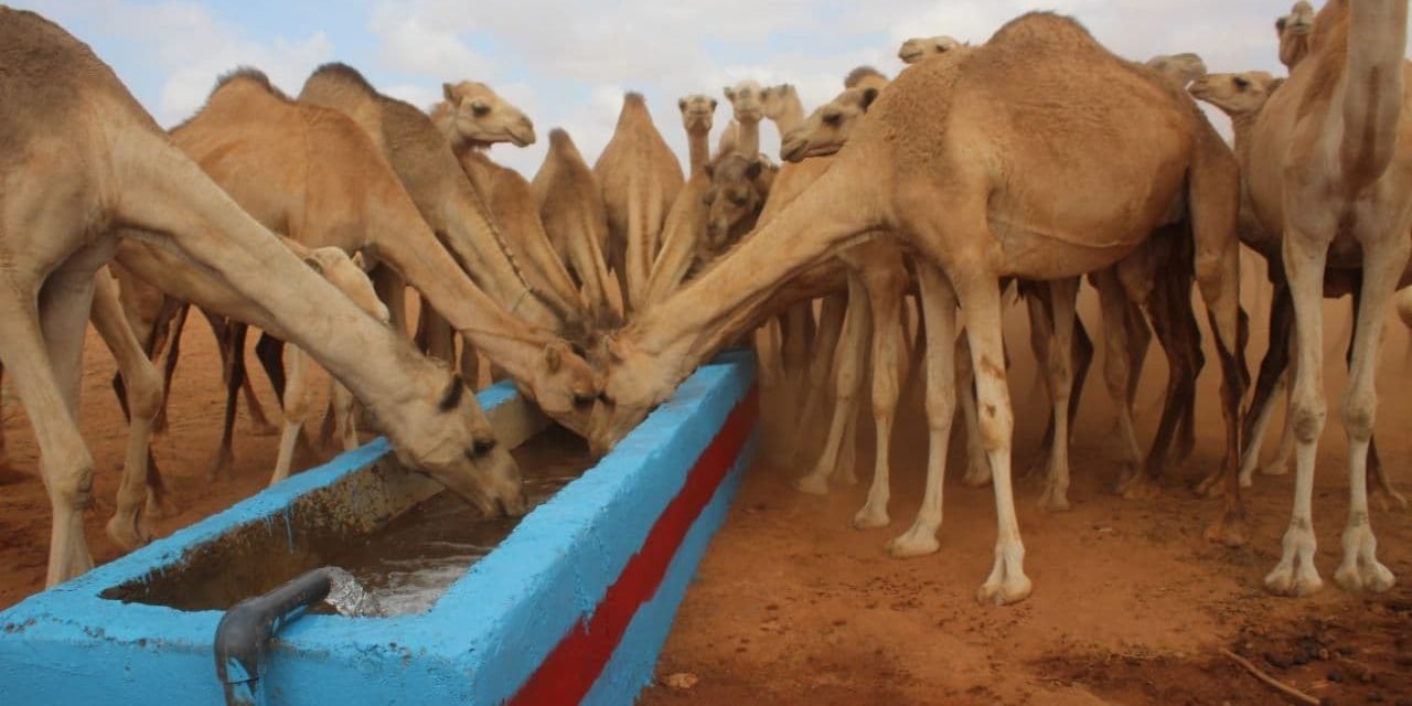 photo_2021-03-20_17-56-04